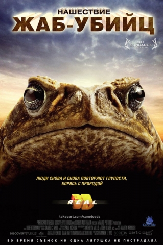 Тростниковые жабы: Оккупация
