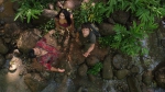 Путешествие 2: Таинственный остров, кадры из фильма, Луис Гузман, Ванесса Энн Хадженс, Джош Хатчерсон