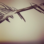 ПараНорман, или Как приручить зомби, со съемок