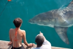 Заклинательница акул, кадры из фильма, Холли Берри