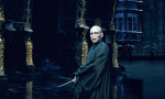 Гарри Поттер и Орден Феникса, кадры из фильма, Рэйф Файнс