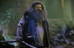 Гарри Поттер и Орден Феникса, кадры из фильма, Робби Колтрейн