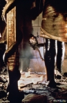 Индиана Джонс: В поисках утраченного ковчега, кадры из фильма, Харрисон Форд