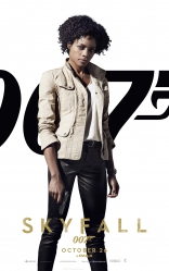 007 Координаты Скайфолл, характер-постер