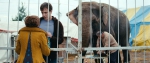 Слон, кадры из фильма