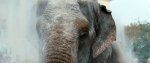 Слон, кадры из фильма