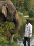 Слон, со съемок