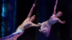 Cirque du Soleil: Сказочный мир, кадры из фильма