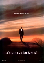 Знакомьтесь, Джо Блэк, постеры