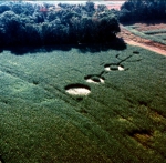 Знаки, кадры из фильма