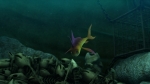 Риф 3D, кадры из фильма