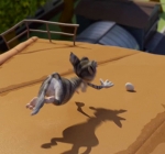 Сапсан 3D, кадры из фильма