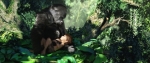 Тарзан, кадры из фильма