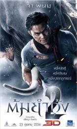 Честь дракона 2*, постеры