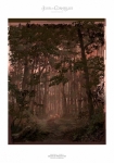 Волшебный лес, концепт-арты