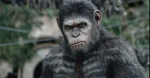 Планета обезьян: Революция, кадры из фильма