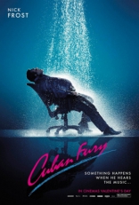 Танцуй отсюда!, постеры