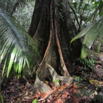 Однажды в лесу, кадры из фильма