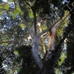 Однажды в лесу, кадры из фильма