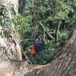 Однажды в лесу, со съемок