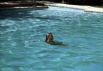 Бассейн, кадры из фильма, Роми Шнайдер