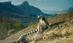 Остров лемуров: Мадагаскар, кадры из фильма