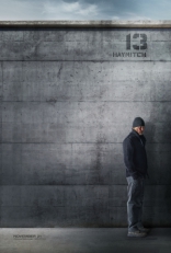 Голодные игры: Сойка-пересмешница. Часть 1, характер-постер