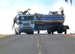 Атака пауков, кадры из фильма