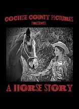 История одной лошадки, постеры