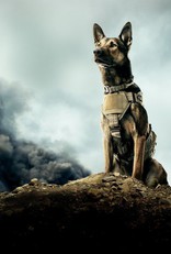 Макс*, постеры, textless