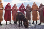 Джеки в царстве женщин, кадры из фильма