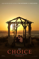 Выбор, постеры