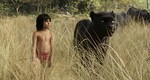 Книга джунглей, кадры из фильма, Нил Сетхи