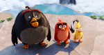 Angry Birds в кино, кадры из фильма