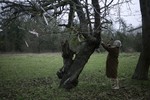 Зимняя песня, кадры из фильма