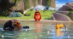 Angry Birds в кино, кадры из фильма