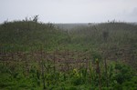Ураган: Одиссея ветра, кадры из фильма