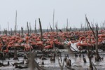 Ураган: Одиссея ветра, кадры из фильма