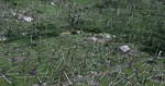 Ураган: Одиссея ветра, кадры из фильма