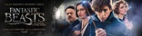 Фантастические твари и где они обитают, баннер
