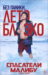 Спасатели Малибу, характер-постер, локализованные