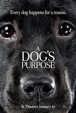 Собачья жизнь, характер-постер