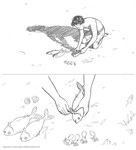 Красная черепаха, концепт-арты