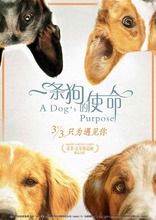 Собачья жизнь, постеры