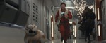 Оскар Айзек, кадры из фильма, Оскар Айзек, Звёздные Войны: Последние джедаи