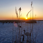 Земля: Один потрясающий день, кадры из фильма