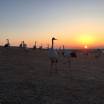 Земля: Один потрясающий день, кадры из фильма