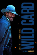 Братья Систерс, постеры