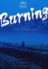 Пылающий, постеры