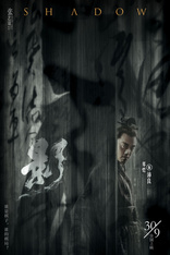 Тень, постеры